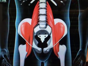 世界一受けたい授業 5秒腹筋