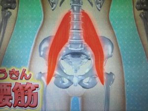 ポッコリお腹の原因 画像