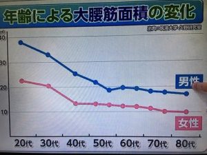 ポッコリお腹の原因 画像