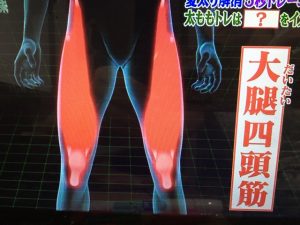 世界一受けたい授業 5秒トレーニング