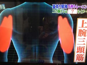 世界一受けたい授業 5秒トレーニング